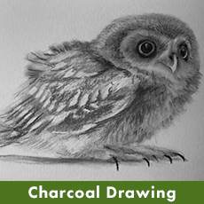 Charcoal